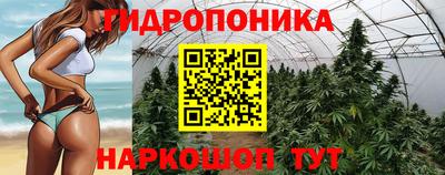 гашик Пушкино