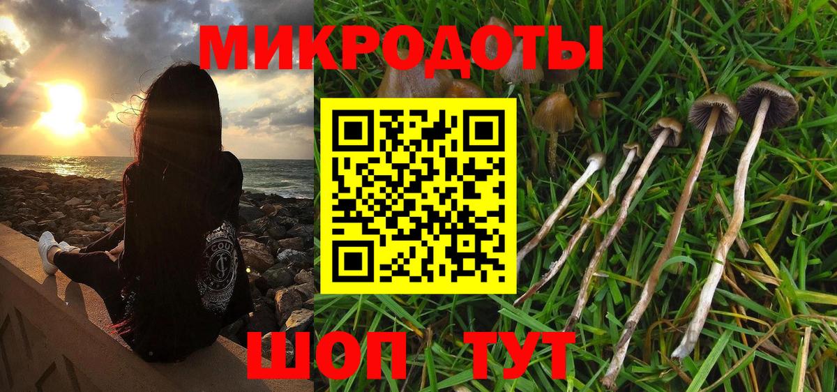 Псилоцибиновые грибы Psilocybine cubensis Рубцовск